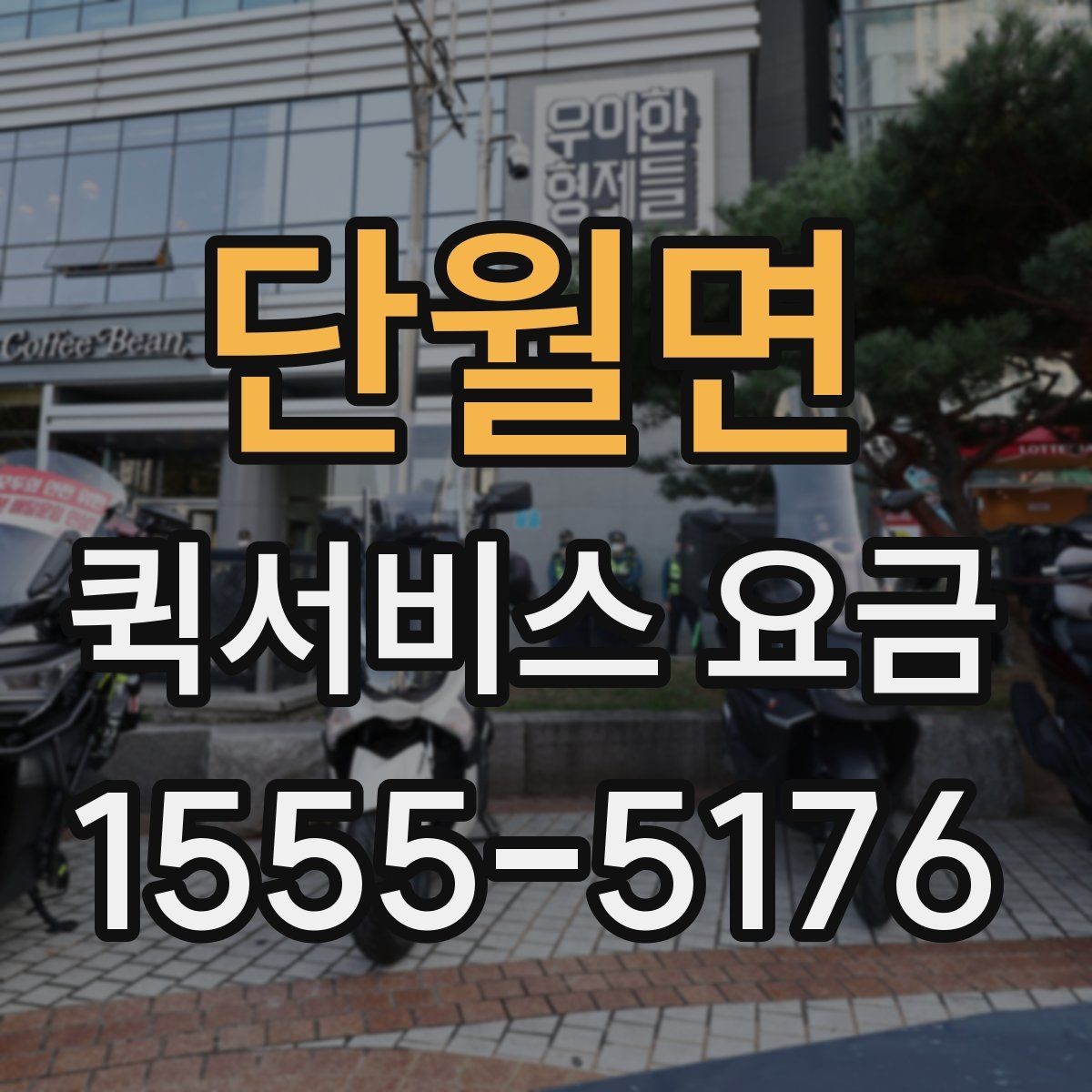 단월면 퀵서비스 요금 전화 문의 전에 정리하면 좋은 정보