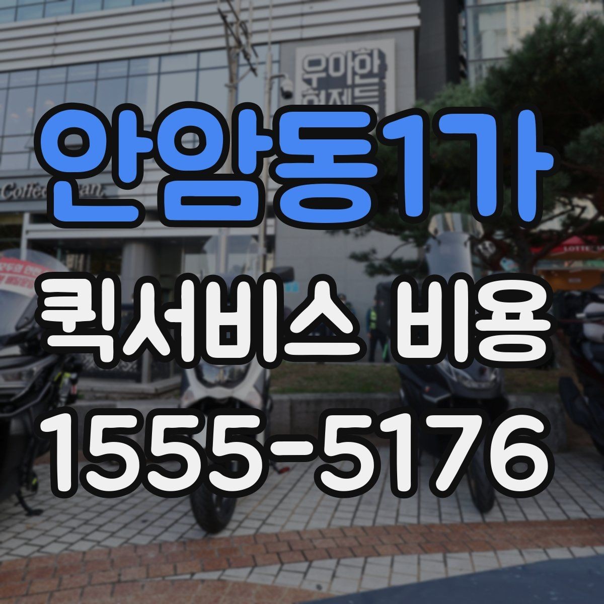 안암동1가 퀵서비스 비용 문의 전에 확인하면 좋은 서비스 범위