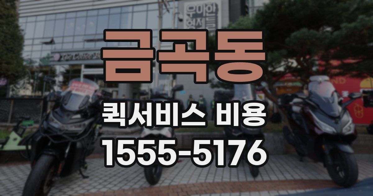 금곡동 퀵서비스 비용