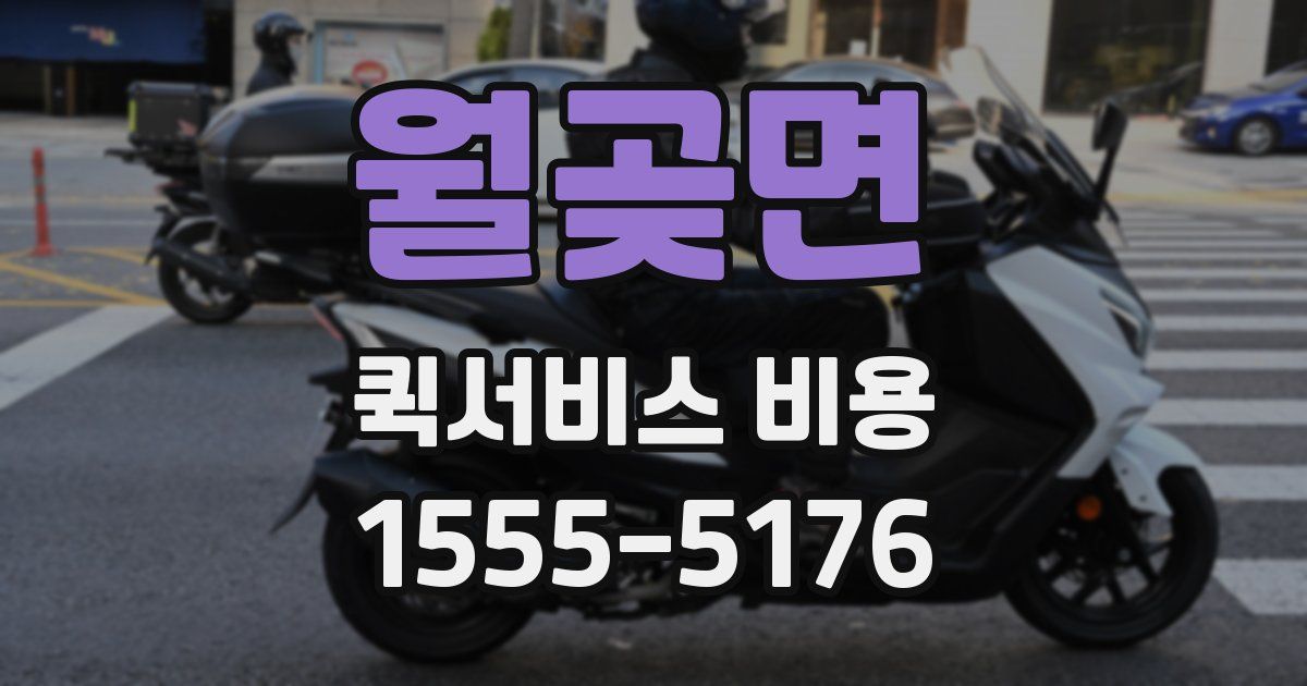 월곶면 퀵서비스 비용