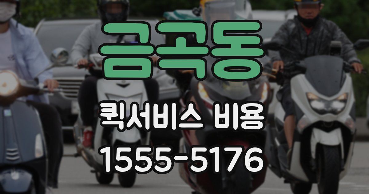 금곡동 퀵서비스 비용
