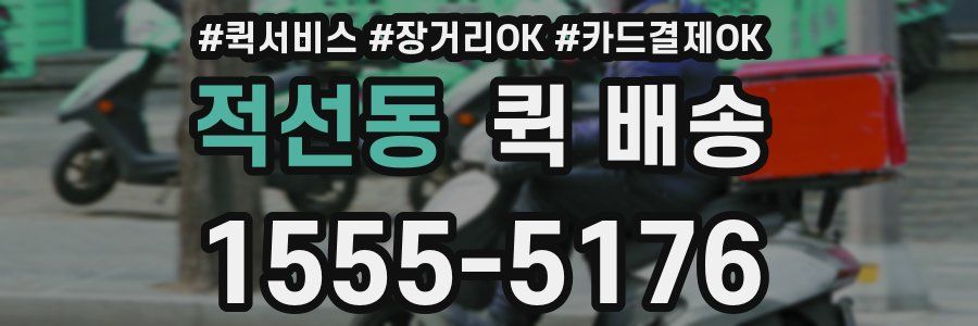 적선동 퀵 배송