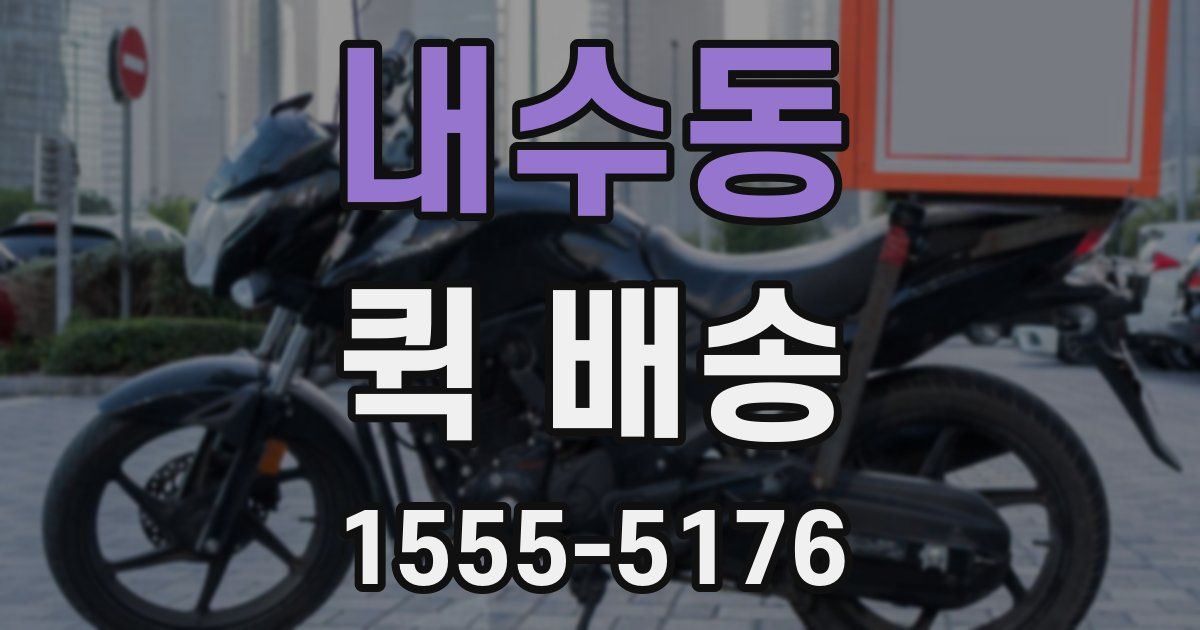 내수동 퀵 배송