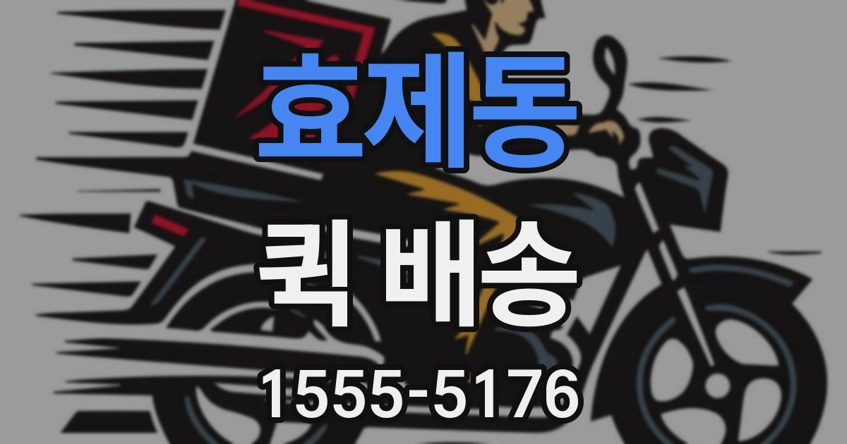 효제동 퀵 배송