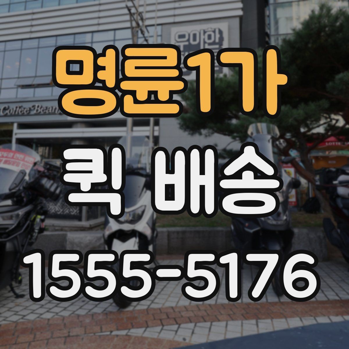 명륜1가 퀵 배송 요금 안내와 확인 포인트