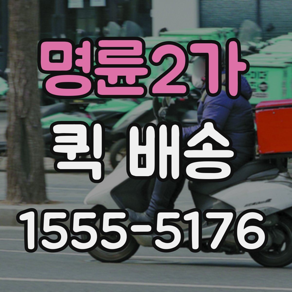 명륜2가 퀵 배송 선택 시 비교할 요소