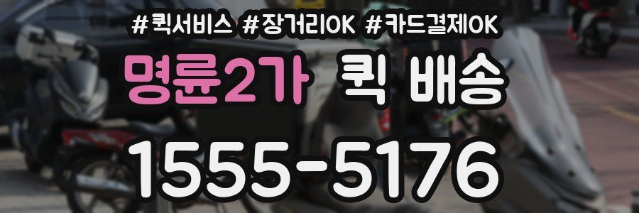 명륜2가 퀵 배송