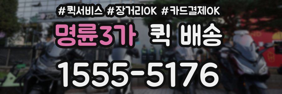 명륜3가 퀵 배송