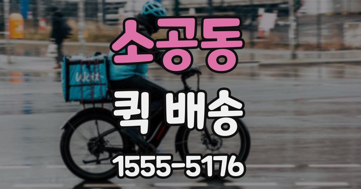 소공동 퀵 배송
