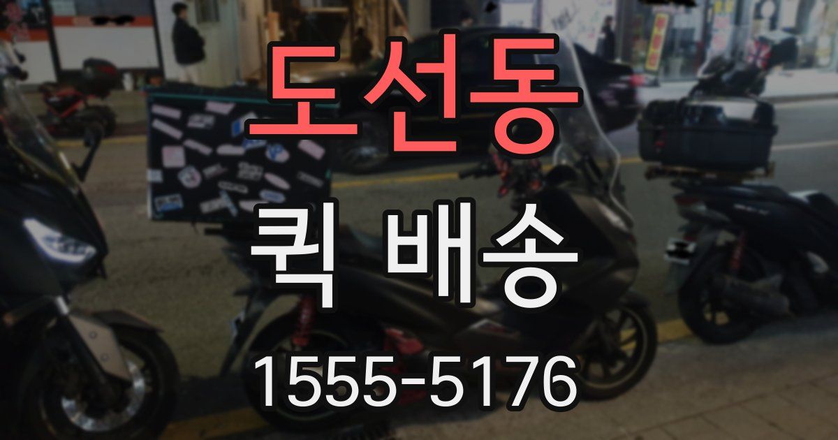 도선동 퀵 배송
