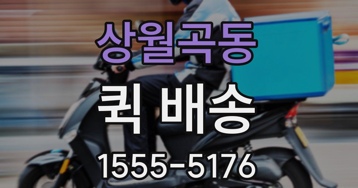 상월곡동 퀵 배송