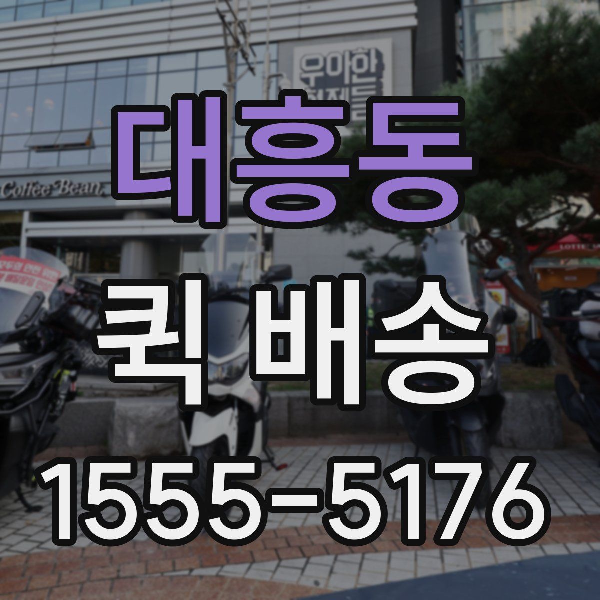 대흥동 퀵 배송