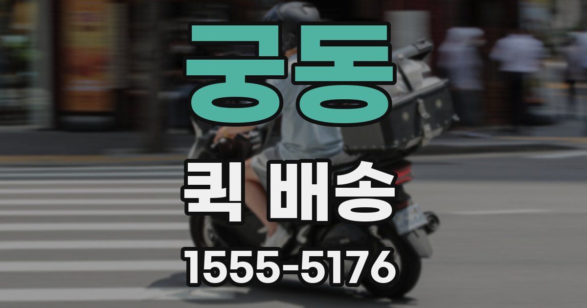 궁동 퀵 배송