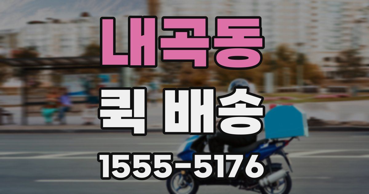 내곡동 퀵 배송