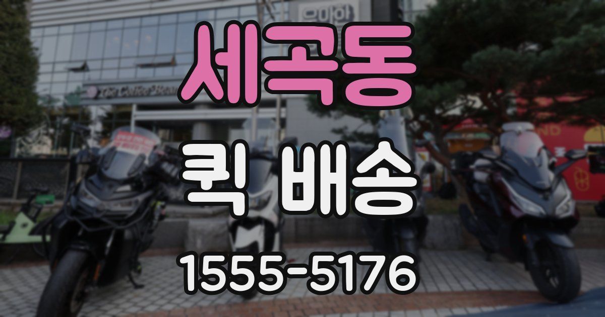 세곡동 퀵 배송