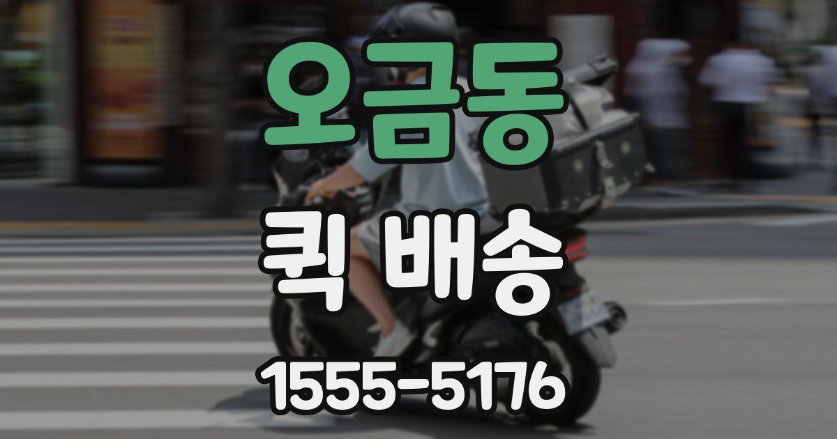 오금동 퀵 배송