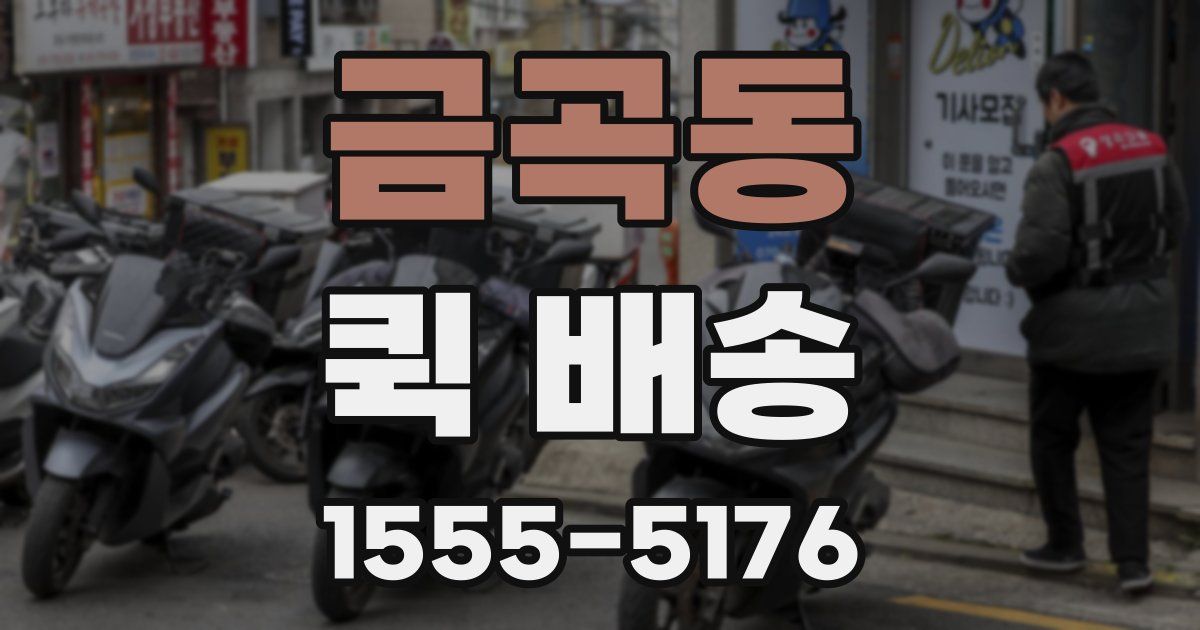 금곡동 퀵 배송