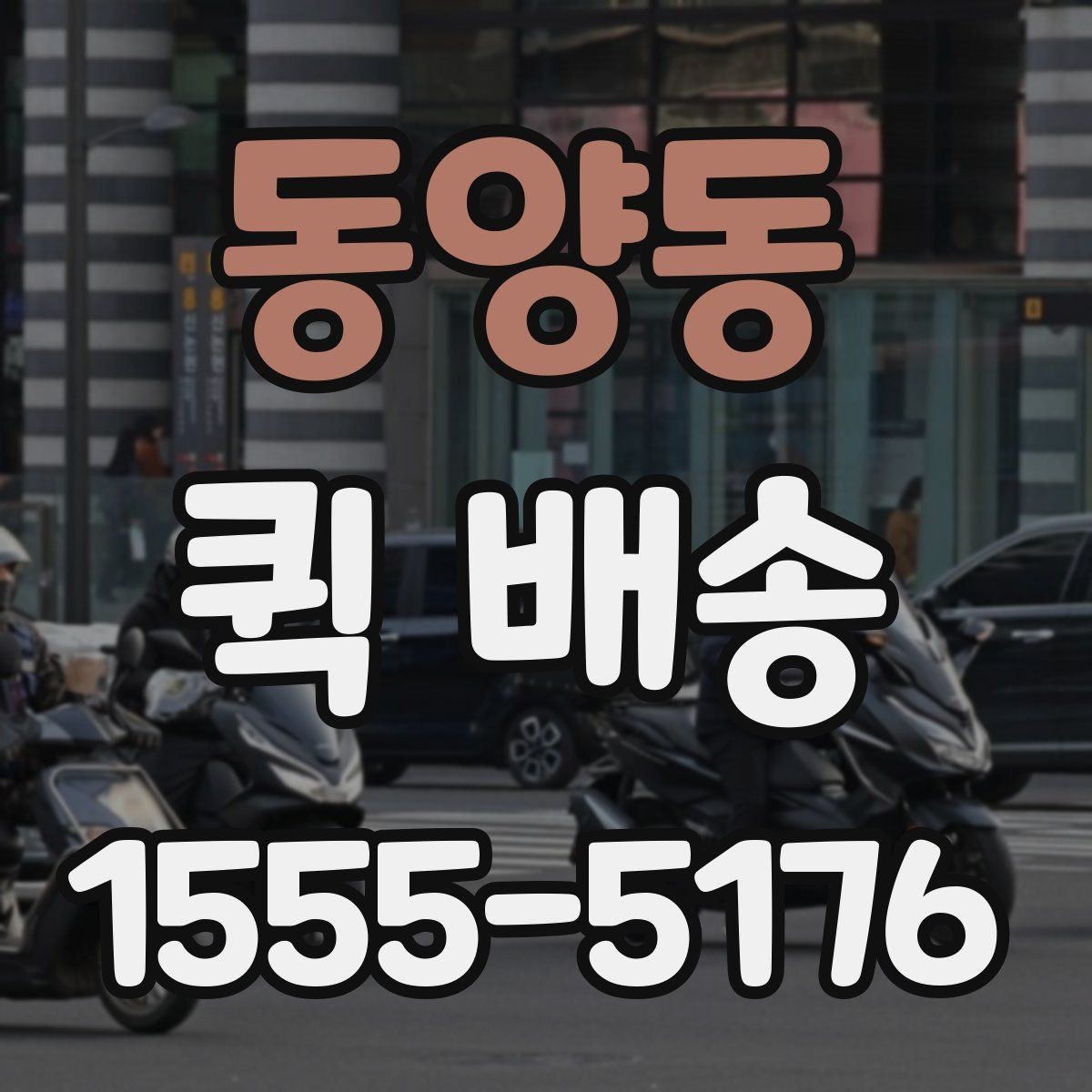 동양동 퀵 배송 비용과 서비스 범위를 함께 보는 방법