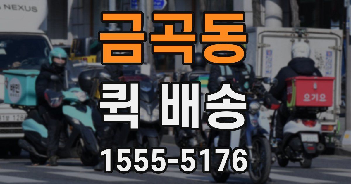 금곡동 퀵 배송