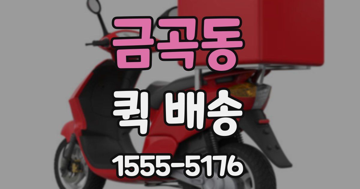 금곡동 퀵 배송