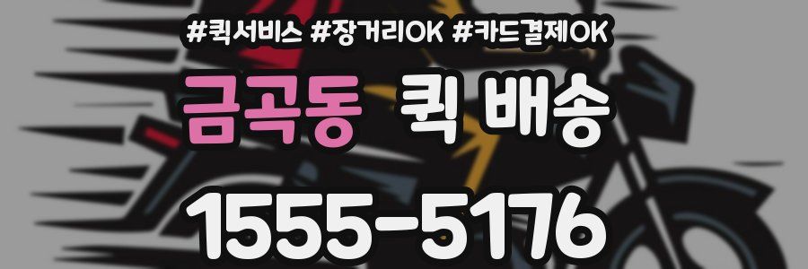 금곡동 퀵 배송