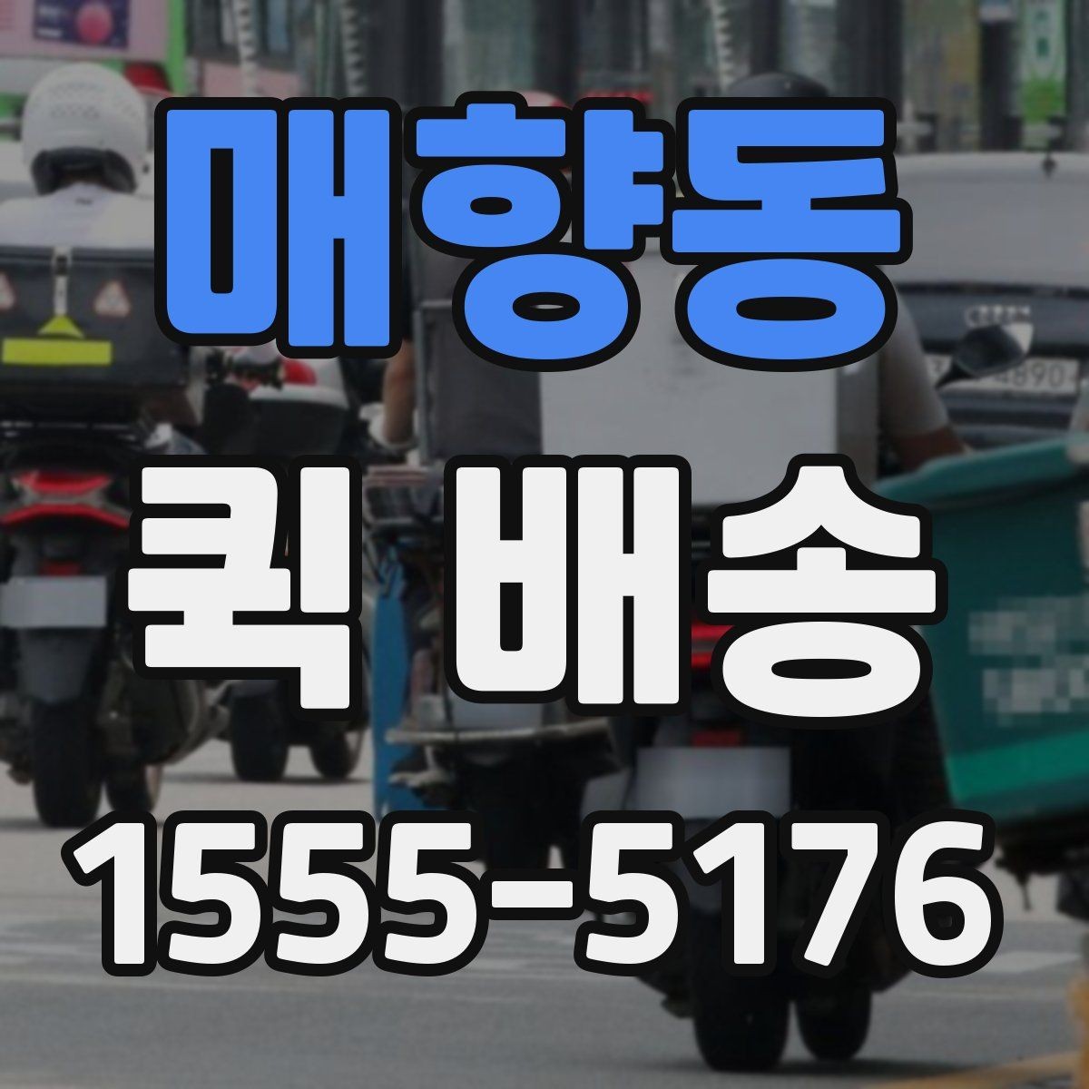 매향동 퀵 배송 선택 기준을 세우는 방법