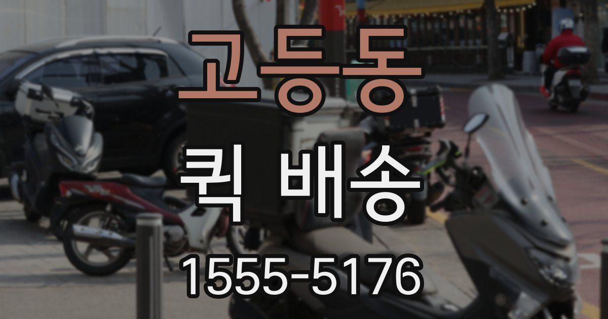 고등동 퀵 배송