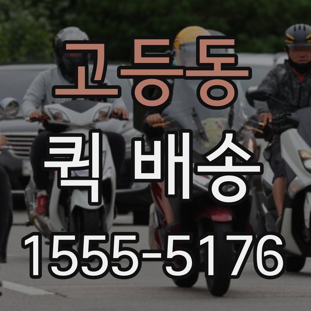 고등동 퀵 배송
