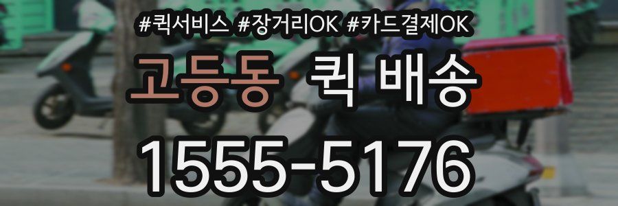 고등동 퀵 배송