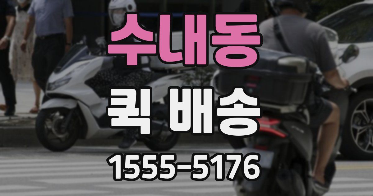 수내동 퀵 배송