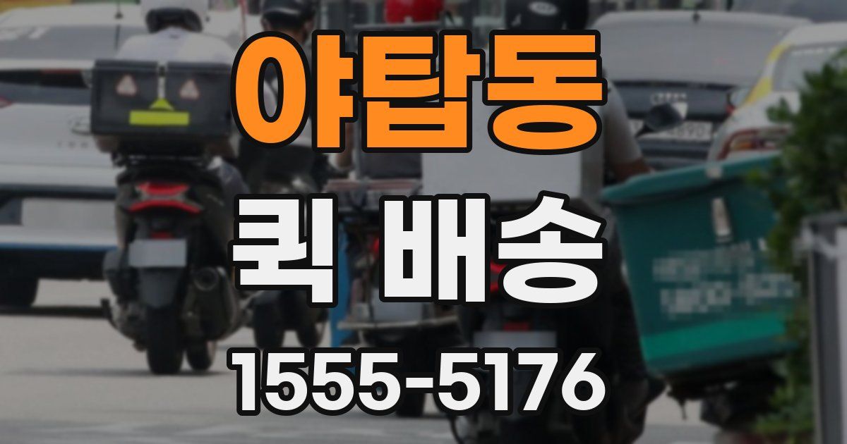 야탑동 퀵 배송