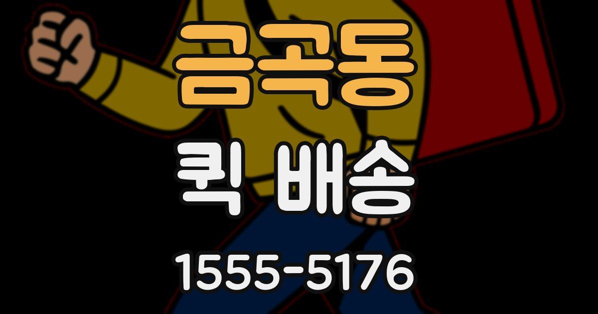 금곡동 퀵 배송