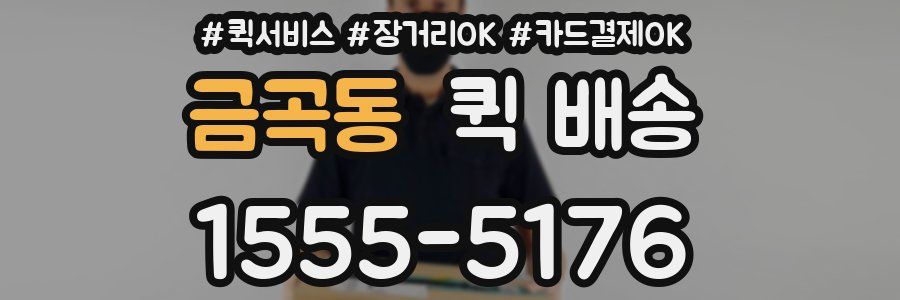 금곡동 퀵 배송