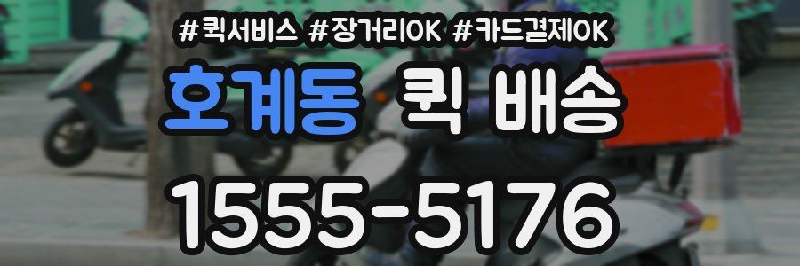 호계동 퀵 배송