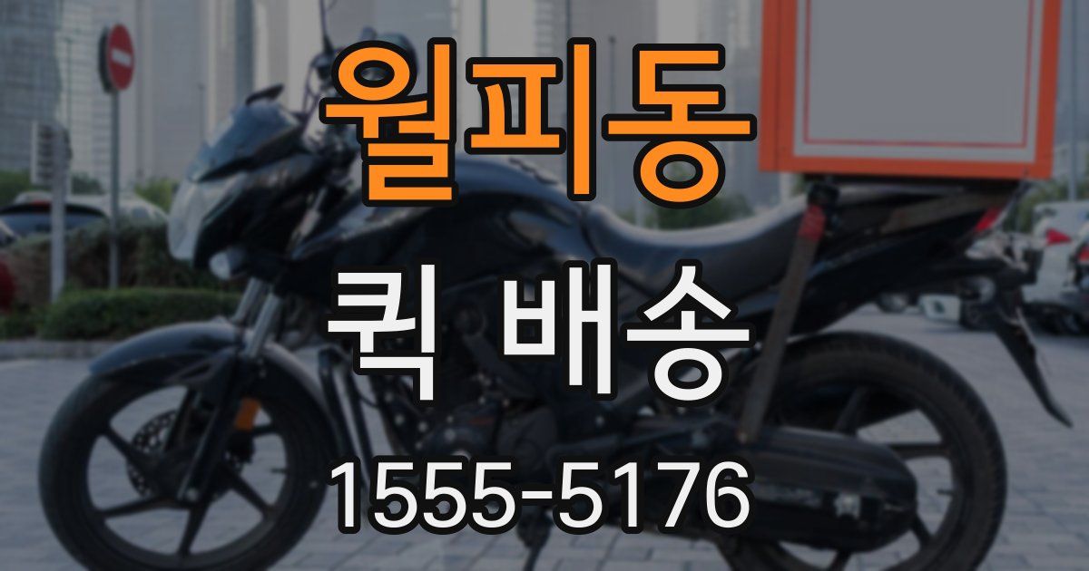월피동 퀵 배송