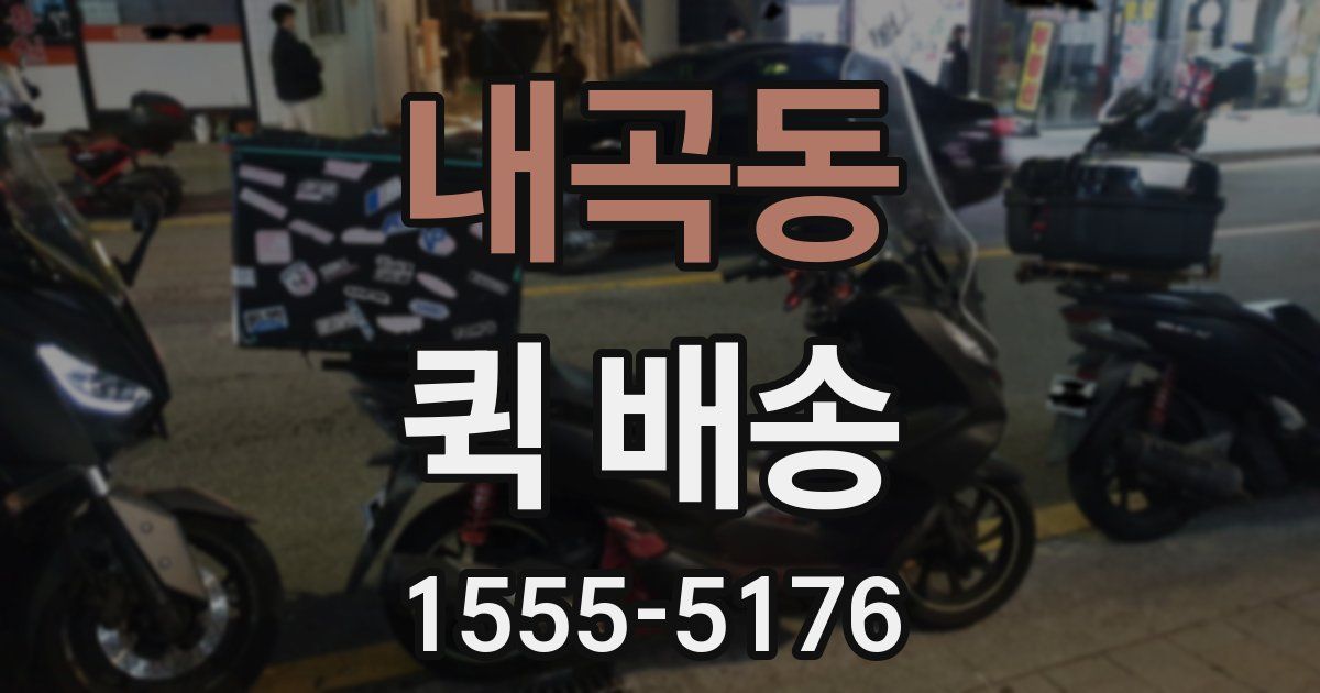 내곡동 퀵 배송