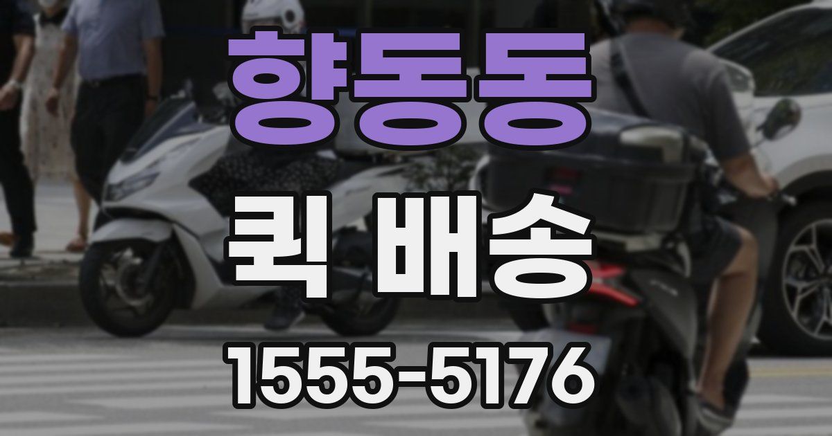 향동동 퀵 배송