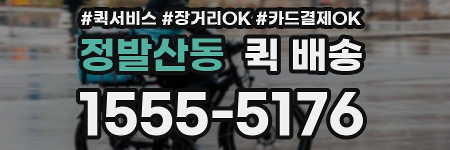 정발산동 퀵 배송