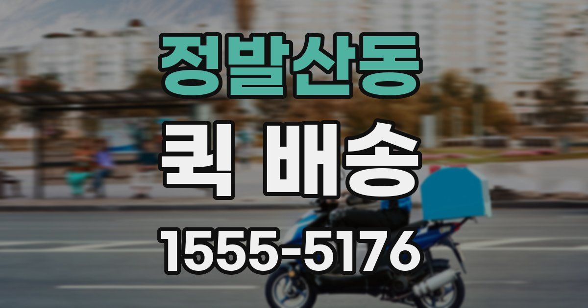 정발산동 퀵 배송