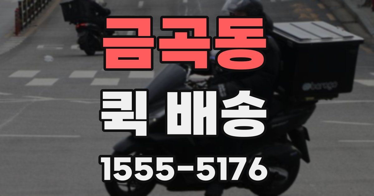금곡동 퀵 배송