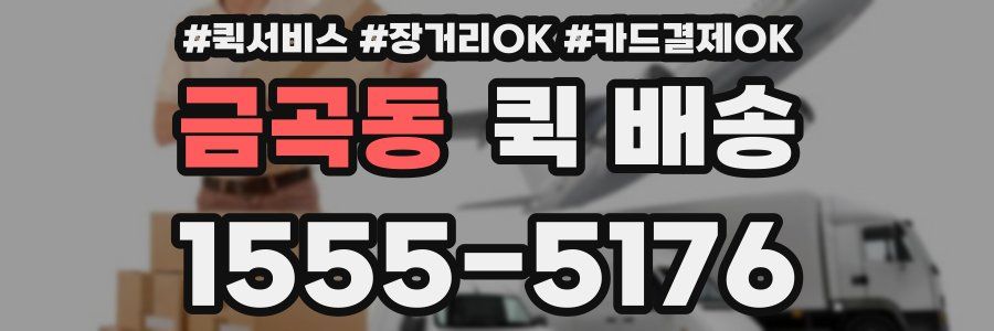 금곡동 퀵 배송