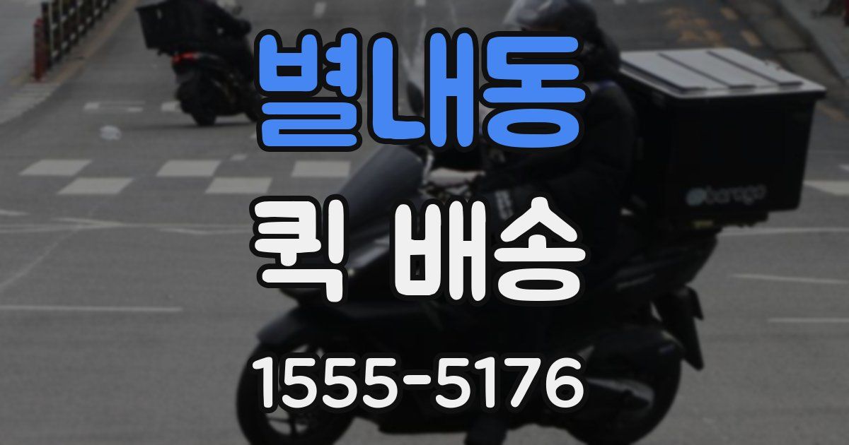 별내동 퀵 배송