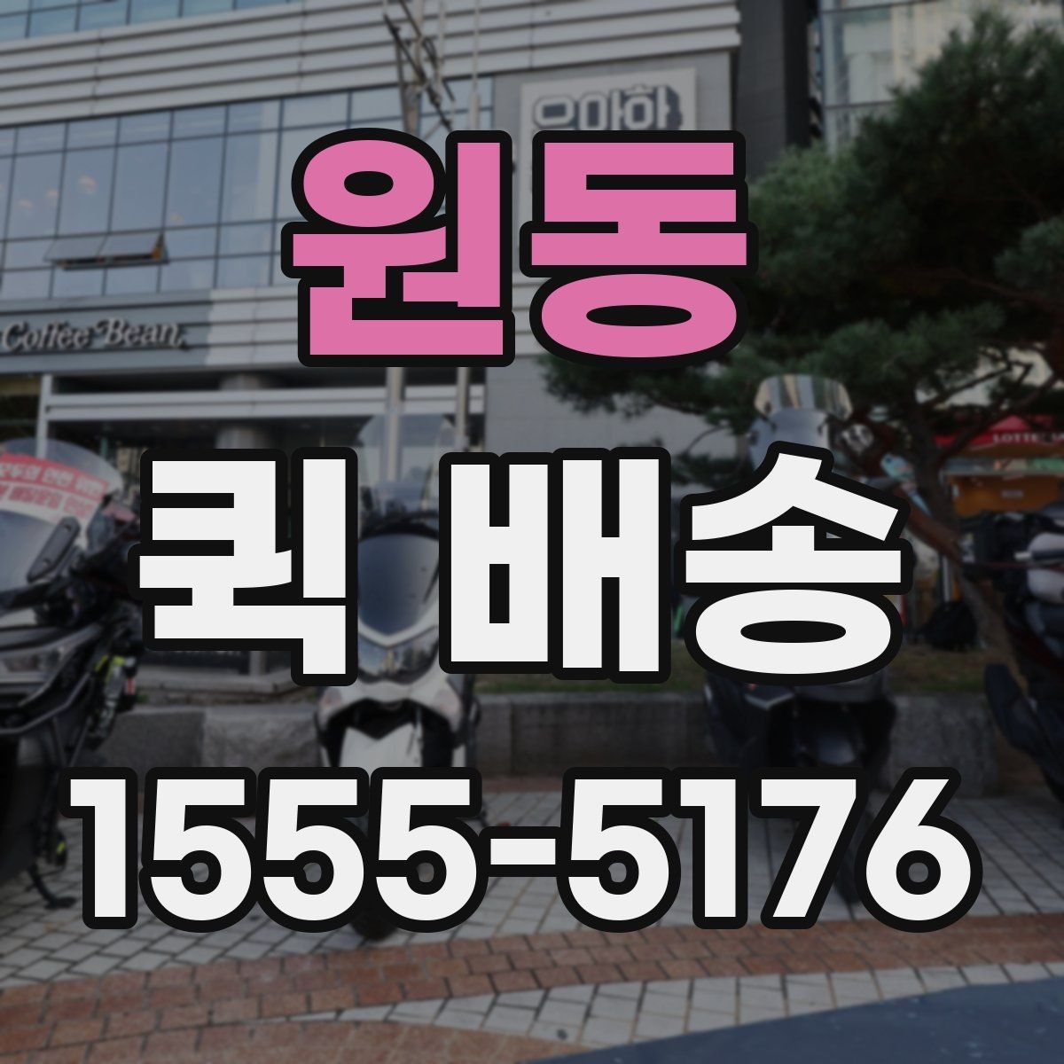 원동 퀵 배송 문의 전 확인하면 좋은 정보