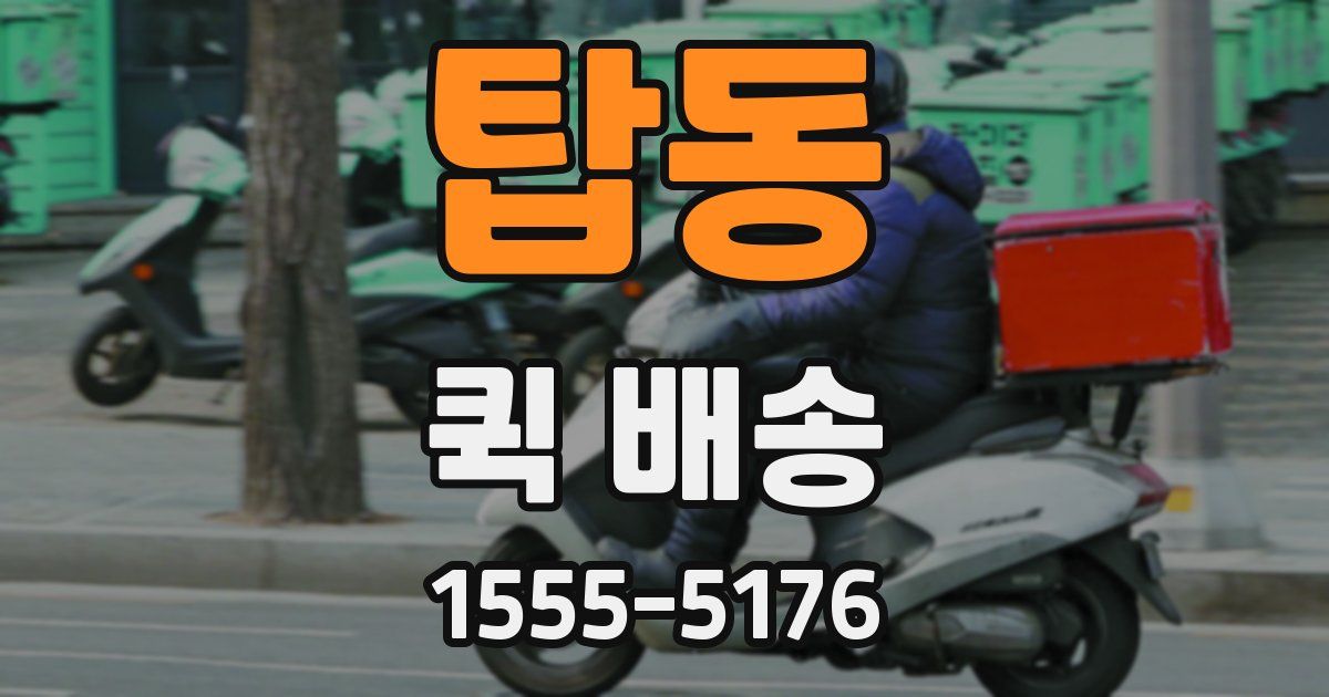 탑동 퀵 배송