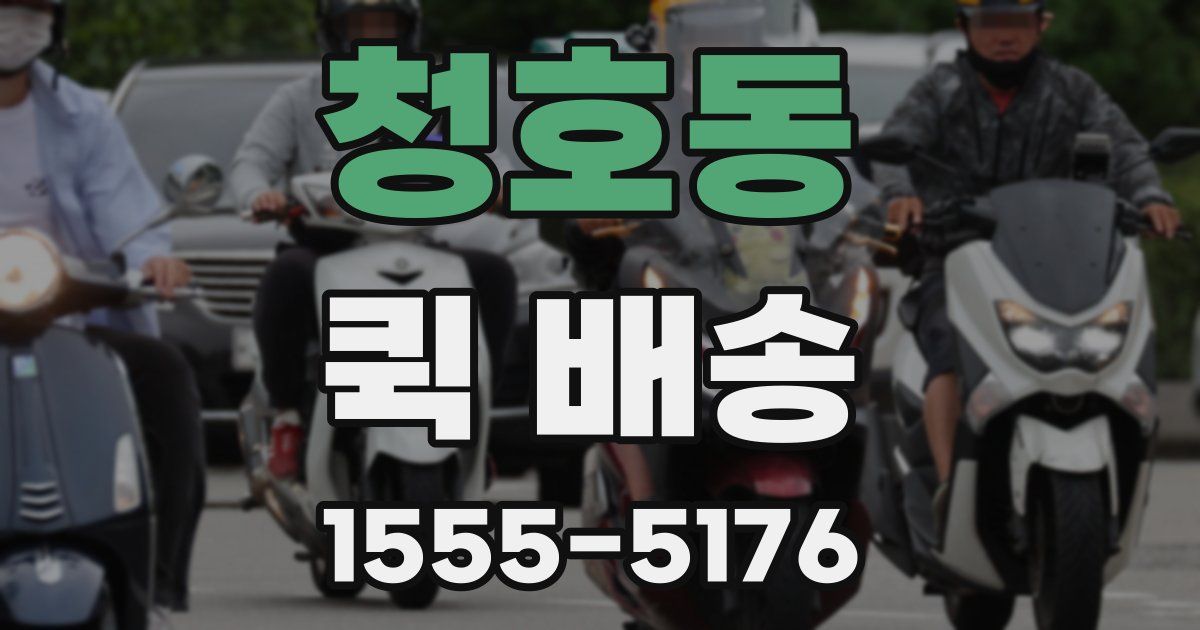 청호동 퀵 배송
