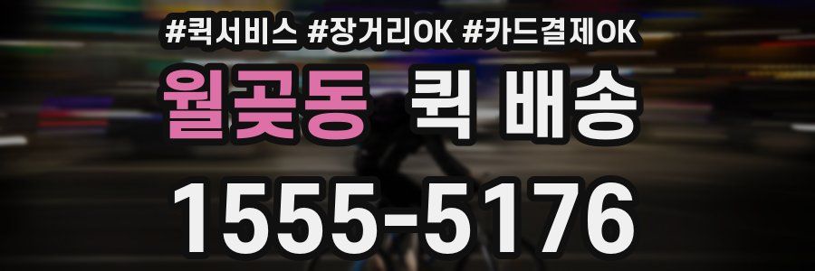 월곶동 퀵 배송