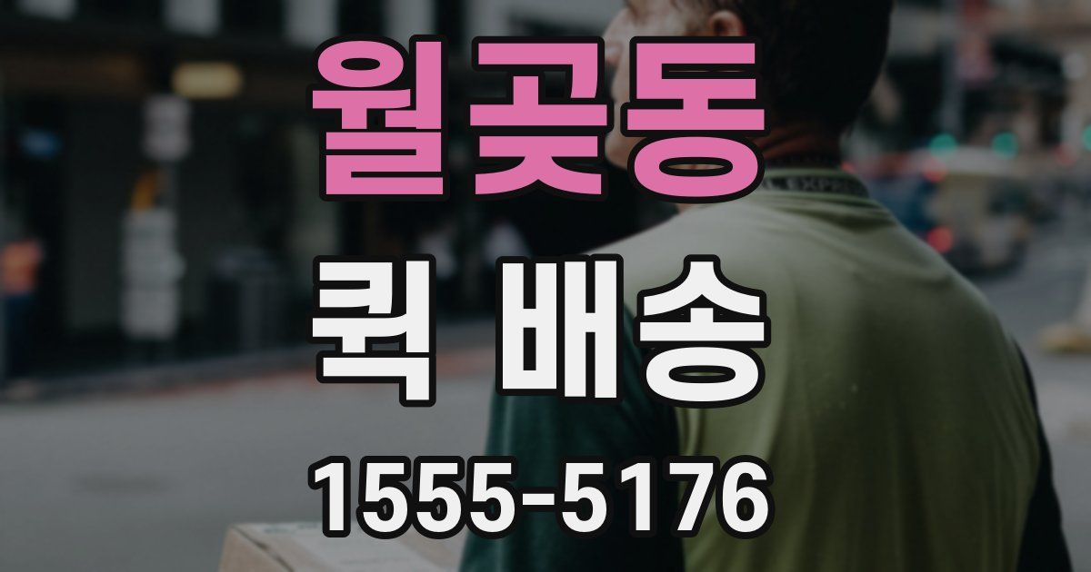 월곶동 퀵 배송