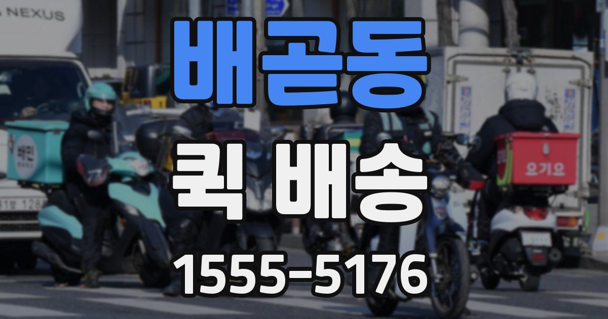 배곧동 퀵 배송