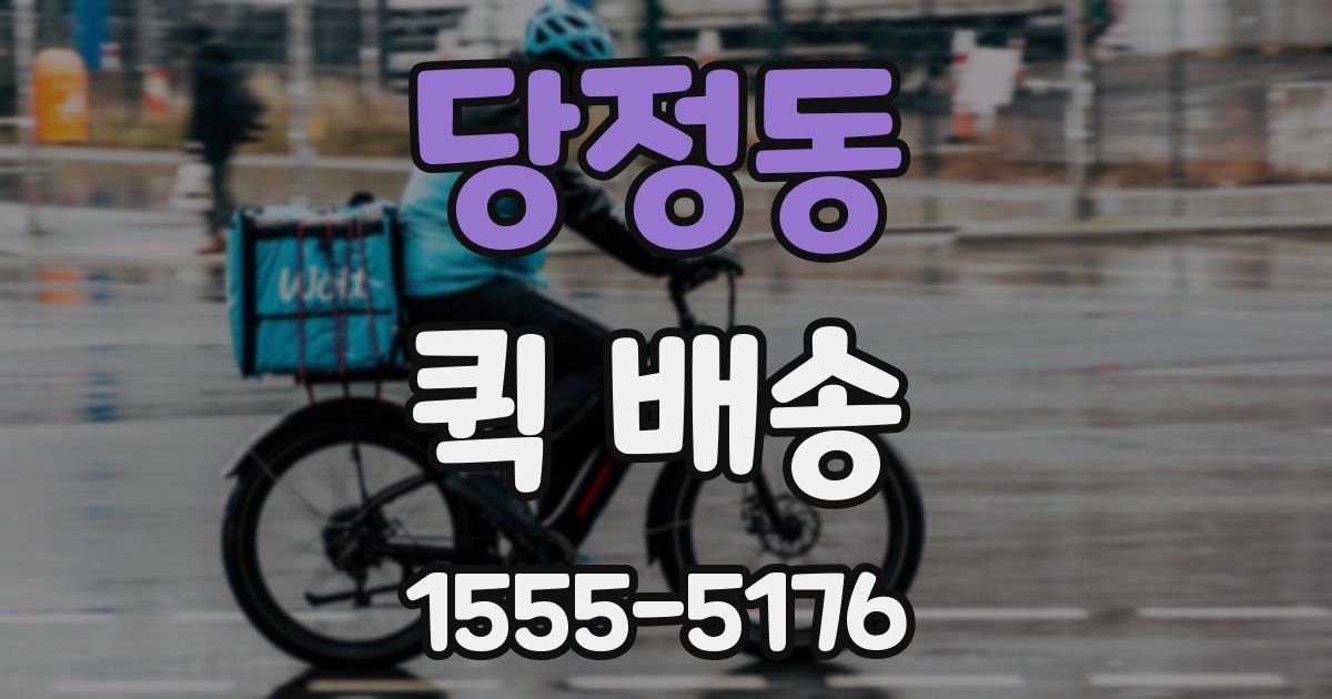 당정동 퀵 배송