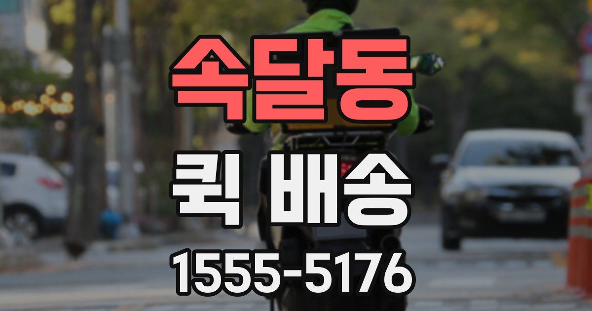 속달동 퀵 배송